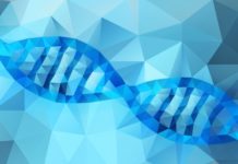 Long-Reads of Sequencing To Shed Light Upon Dark Corners Of the Genome MSc/MTech Biotech & Biological Sciences Job @ Danaher Corporation