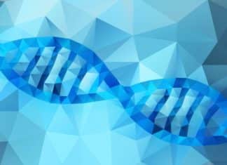 MSc/MTech Biotech & Biological Sciences Job @ Danaher Corporation
