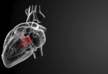 Patch That Heart Up Using Bioprinted Tissue