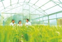 SRF Vacancy in ICAR CRP on Vaccine & Diagnostics Project @ ICAR – CTCRI