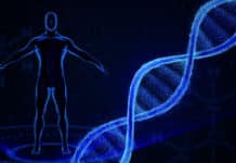 Giant Leap Towards Synthetic Life : Scientists Produce Man-Made, Custom Built DNA