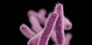 The CDC Alerted “Nightmare Bacteria”, a Growing Threat