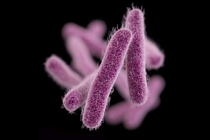The CDC Alerted “Nightmare Bacteria”, a Growing Threat