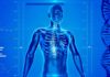 Artificial Pancreas in the Making, French Medtech Cellnovo Raises Capital Of €17.5M