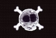 A Cell’s Deathbed Confession : What We Can Learn About Cancer