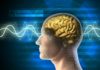 JRF Vacancy in Stem Cell & Neurobiology Leading to PhD @ Era University, Lucknow