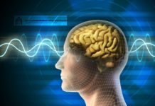 JRF Vacancy in Stem Cell & Neurobiology Leading to PhD @ Era University, Lucknow