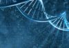 India to Get Cheaper Biosimilars For Diabetes & Cancer