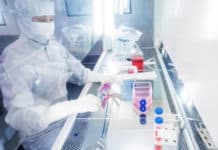 Research Scientist – Cell Line Engineering Post Vacant @ Pfizer | Apply Online