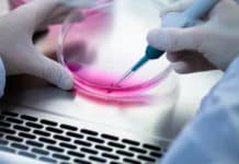 Lab-Grown Bile Ducts Could Slash Liver Transplant Demand PhD Biological Sciences Vacancy @ Novozymes