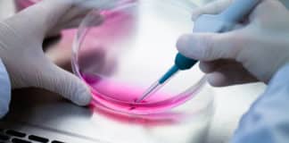 PhD Biological Sciences Vacancy @ Novozymes