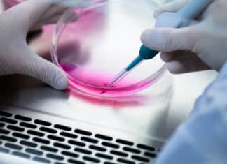 PhD Biological Sciences Vacancy @ Novozymes