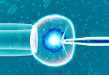 Scientists successfully edit human embryos in a path breaking new study