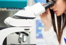 PhD Job : Research Associate Vacancy With Upto Rs 45,000/- pm Salary @ Institute of Life Sciences
