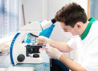 MSc Life Sciences JRF Post Vacant @ ISEC