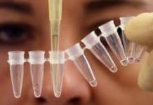 Novel Biological Sample Storage Method Not Requiring Refrigeration Developed