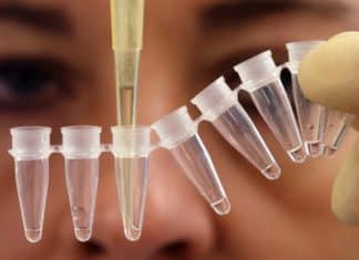 Novel Biological Sample Storage Method Not Requiring Refrigeration Developed