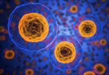 New Portable, Low-Cost Microfluidic Device Enables Broader Access to Single-Cell Sequencing Project Position Vacant for PhD Candidates @ IIT Delhi