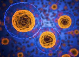 New Portable, Low-Cost Microfluidic Device Enables Broader Access to Single-Cell Sequencing Project Position Vacant for PhD Candidates @ IIT Delhi