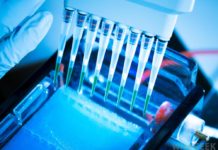 Biochemistry Job : Apply for Research Fellow & SRF Positions @ PAU