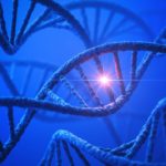 Genetic Interaction Map Helps Determine Choice of Chemotherapy