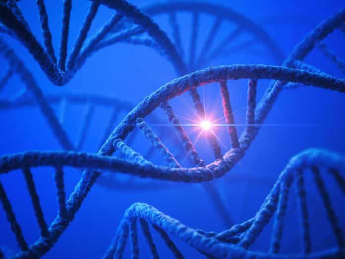 Genetic Interaction Map Helps Determine Choice of Chemotherapy