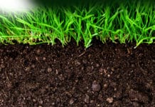 Work in Gene Mining Projects @ ICAR – Central Soil Salinity Research Institute