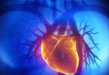 Your Heart Can Regenerate Like Hydra ?