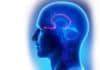 H1N1 influenza May Bring In Parkinson’s Like Brain Damage