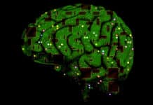 Research Assistant in DST-SERB Project @ Central University of Punjab | Life Sciences Candidates Eligible