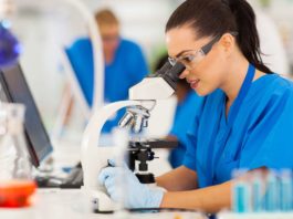 Summer Research Internship Program 2019