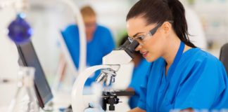 Summer Research Internship Program 2019