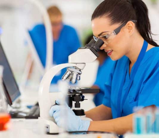 Summer Research Internship Program 2019