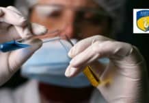 JRF Vacancy in Cancer Related ICMR Project @ AIB, Amity University