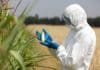 Engineered Crops To Push Off Bugs By Turning Off Their Genes