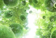 Secrets Of Photosynthesis Could Help Develop Future Technologies