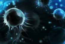 Oxford BioMedica and Novartis Make a $100m for cell therapy treatment