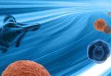 Dune Medical Raises $12M To Expand Its MarginProbe Technology