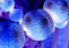 Human protein-based tumor-targeting MRI Nanoprobes Developed by UMMS Scientists