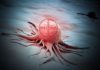 Fresh Insights Into Cancer : Scientists Believe Body’s Immune Surveillance Mechanism Holds The Key