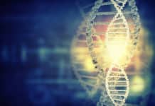 New Mechanism Influencing Genomic Imprinting Identified