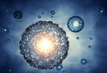 Junior Research Fellowship / Scientific Program Manager @ CSCR – inStem, Bangalore