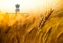 R&D Govt Job @ NSRTC, Ministry of Agriculture & Farmers Welfare | 4 SRF Post Vacant Govt Biosciences Recruitment @ Ministry of Agriculture & Farmers Welfare