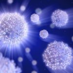 Scientists Devise Interactive Microscope, Unveil Physical Principles of Cell Organization Scientists Devise Interactive Microscope, Unveil Physical Principles of Cell Organization