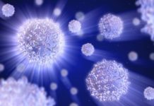 Scientists Devise Interactive Microscope, Unveil Physical Principles of Cell Organization