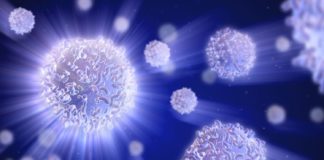 Scientists Devise Interactive Microscope, Unveil Physical Principles of Cell Organization