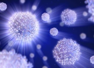 Scientists Devise Interactive Microscope, Unveil Physical Principles of Cell Organization Scientists Devise Interactive Microscope, Unveil Physical Principles of Cell Organization