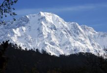 Biotech Job : JRF Vacancy @ Himalayan Forest Research Institute