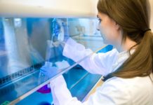 Post Doctoral Fellow Post Vacant in Project On Human Biology @ inStem, Bangalore