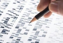 The “Orion” Will Now Guide Researchers In The Search For Disease Mutations In “Dark Genome”